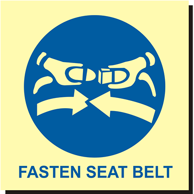 Seat Belt